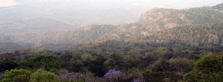 666/Sterling Holidays Rock Perch - Yercaud 11.jpg